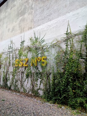 Servicio Social Zonal n°5, Author: Andrea Santillan