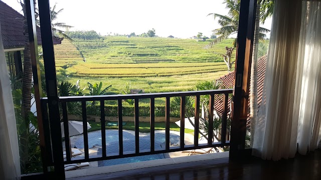 Canggu Terrace villas