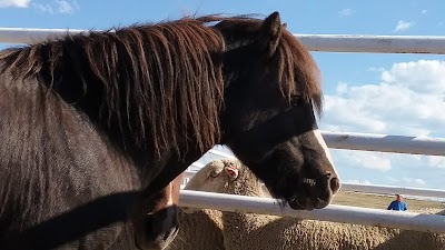 Routt County Fairgrounds