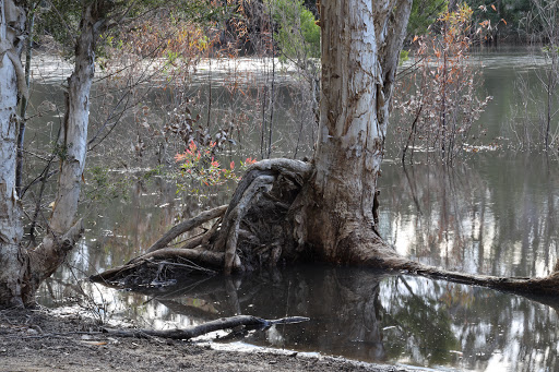 Kitchener Dam - Thumbnail