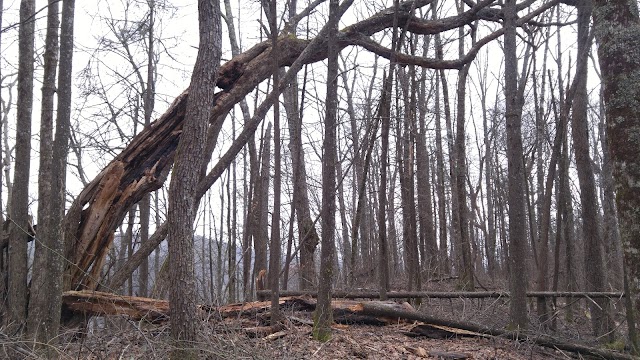 Swinging Bridge Quiet Walkway Trailhead