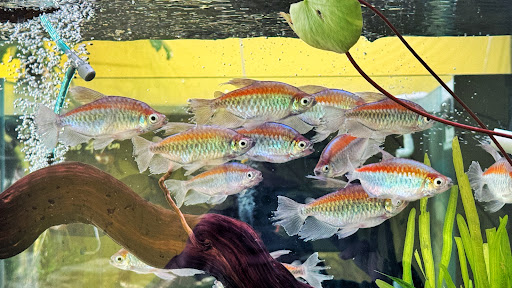 Tiệm
