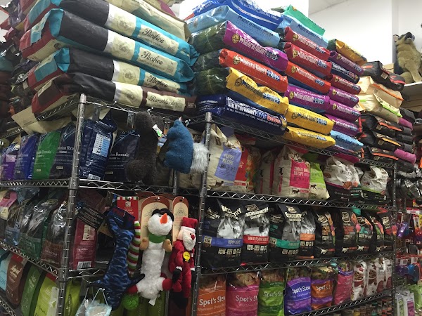 нью-йорка зоомагазин одежда. Pet shop new york city. Pet shop new york city. зоомагазин в японии. витрина конного магазина.