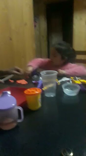 Pinto Aguirre Jessica Pilar