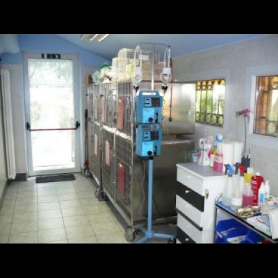 Photos of Clinica Veterinaria Privata Casa del Cane e del Gatto