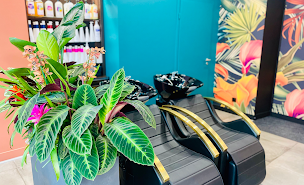 Photo n°24 de Xotic à Mulhouse (Service de coiffure dreadlocks)