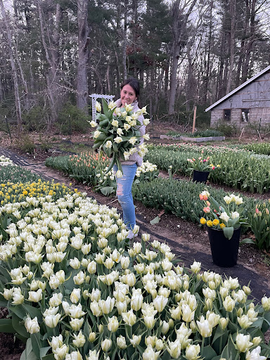 Blush In Bloom - Thumbnail