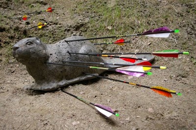 Photos of Hunting archery course Bad Gastein