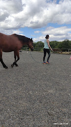 Photo n°10 de Venez Murmurer Avec Les Chevaux equicoaching à Saint-Juan (Coaching professionnel)