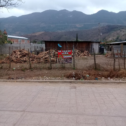 leñas trapiche - Visual