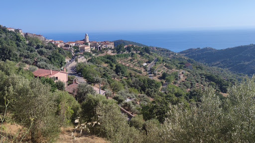 Strada Prov. Per Pollica - Loc. Cannicchio Sud