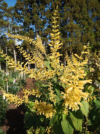 Apollo Farm NZ - Thumbnail