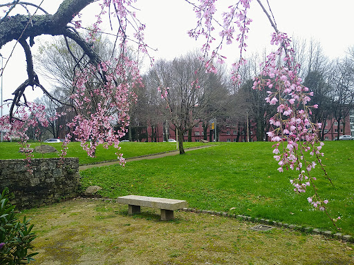 Parque da Ponte Mantible - Thumbnail
