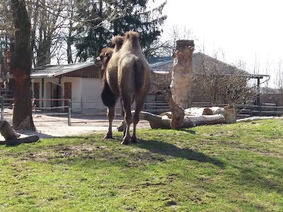 Photos of Falkenstein Zoo