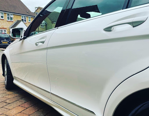 Evolution Detailing - Visual