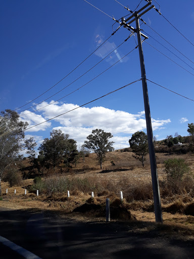 Lineal Erandeni Park