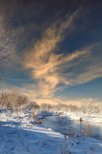 Park trail - Visual