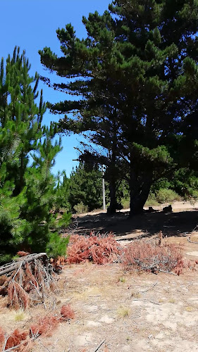 Opiniones de Refugio Laguna Verde en Valparaíso - Camping