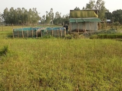 Photos of Gaibandha Agro Venture