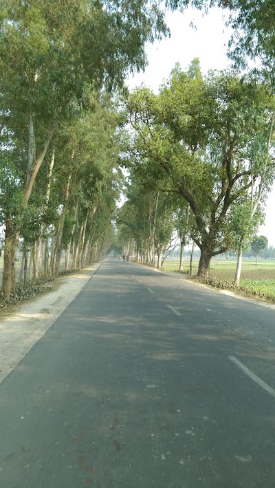 Photos of Debiganj Market
