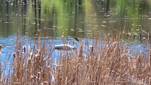 Lake Camelot Park Gallery - United States