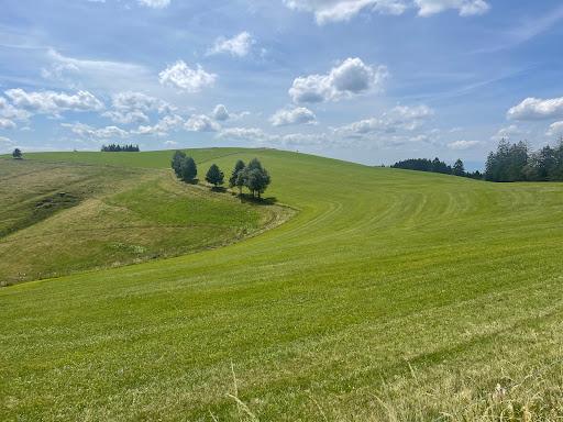giesenhügel