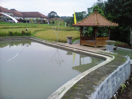 Villa Omah Sawah, Author: Wulan Apsari