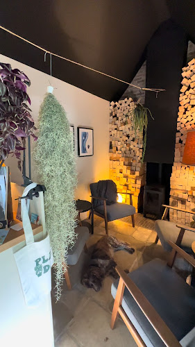 Beoordelingen van Stera - Plantenbar in Brugge - Koffiebar