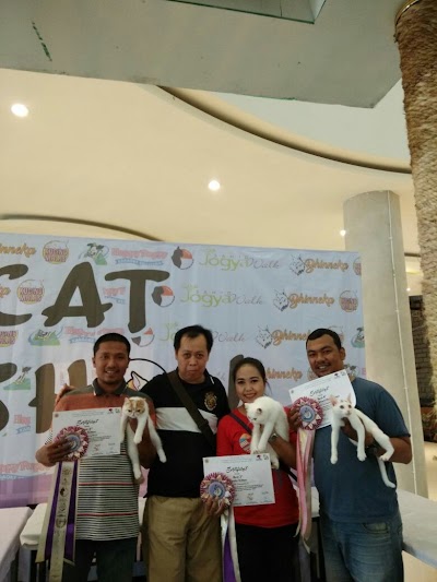 Photos of Bathara Cat House