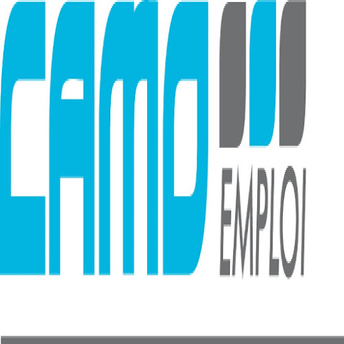 Commentaires et avis sur CAMO EMPLOI