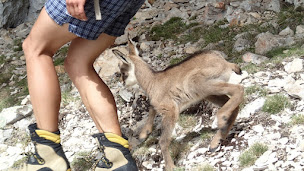 Photo n°5 de ArtMontana - Marianna Jagercikova à Dévoluy (Agence de visites touristiques)