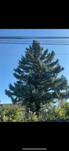 Hubert Espace Vert