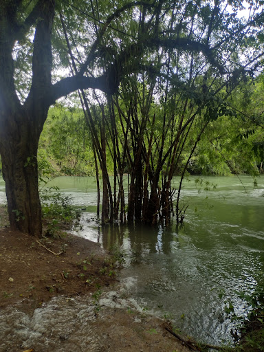 RÍO "MAROMA"