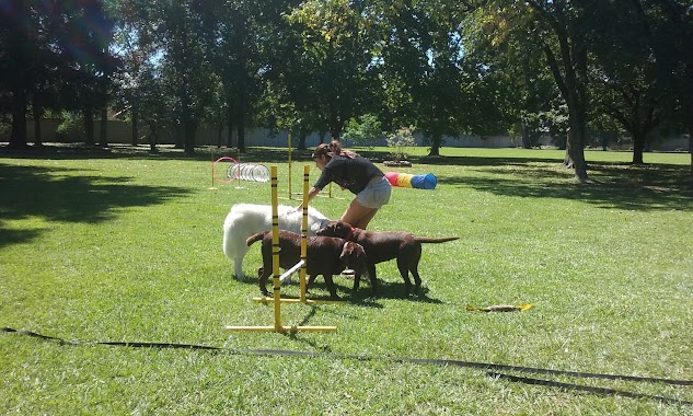 Yeiporá, Centro Integral de Mascotas y Actividades Caninas, Author: Verónica Spina