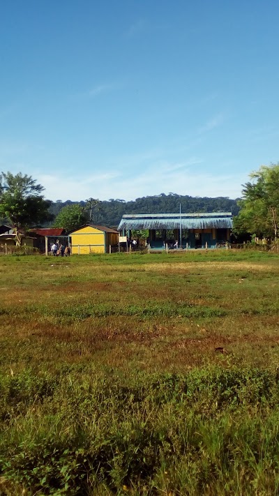 school