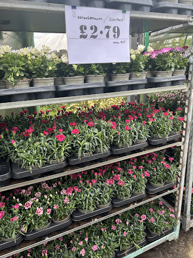 The Garden Warehouse - Thumbnail