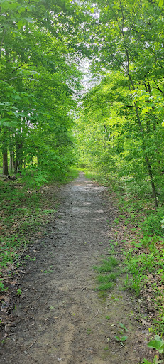 David E. Richards Park - Visual