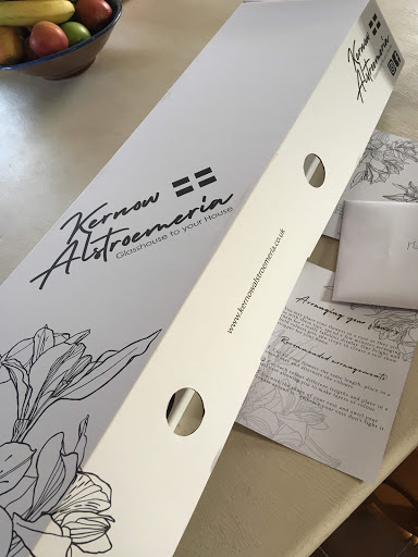 Kernow Alstroemeria - Thumbnail