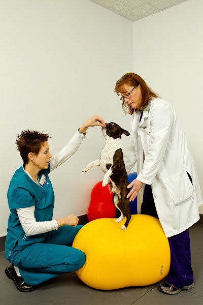 Photos of Lake Cross Veterinary Hospital