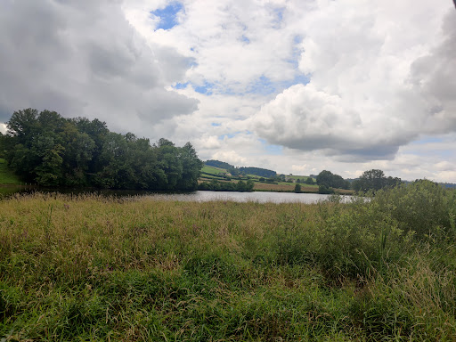 Observatoire Ornithologique de Montigny en Morvan - Thumbnail