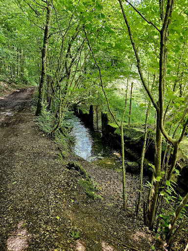 Wunderschöner Wanderweg - Visual