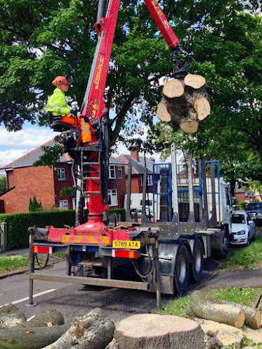 Treefellas Arboriculture Hathersage