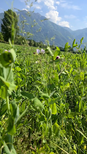 Centro Tenero - Val-de-Travers NE