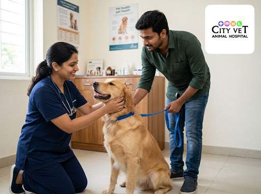 Being a responsible pet parent means more than food and cuddles. At City Vet Animal Hospital in A… post image