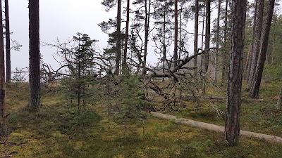 park