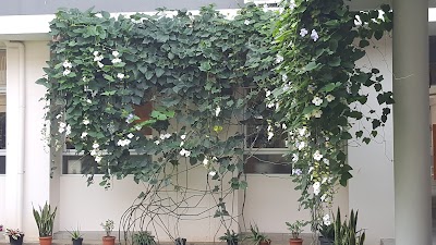 Photos of Cahaya Bangsa Classical School