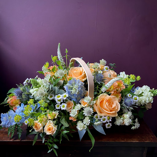 Abundiflora - Visual