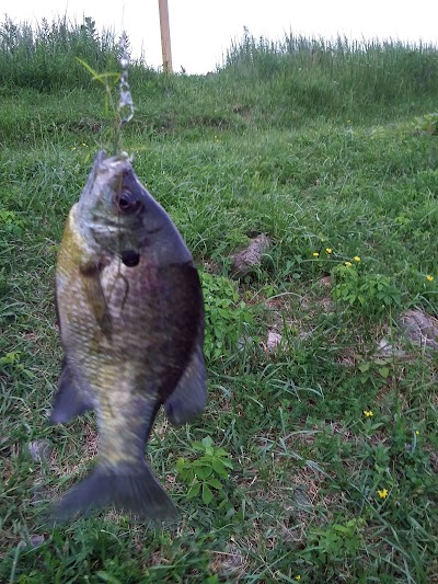 Timber Ridge Lake