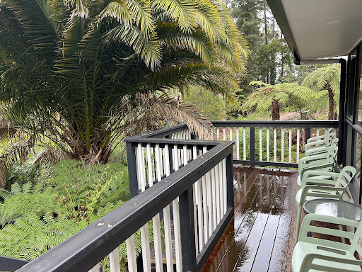 Grey Gum Getaway