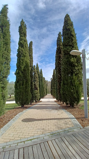 Paseo de los Sentidos - Thumbnail